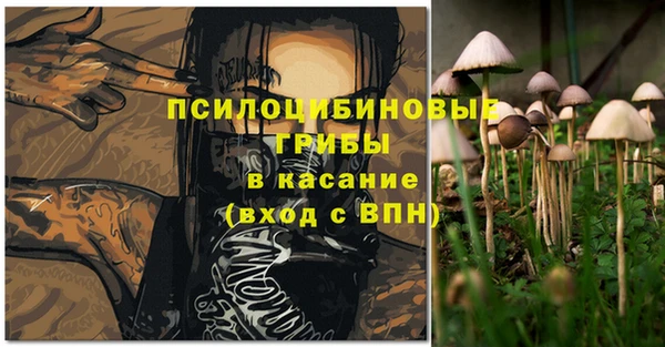амфетамин Белокуриха