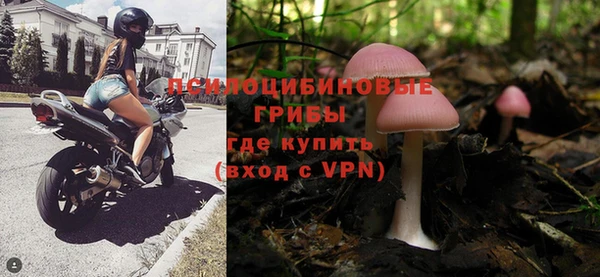 амфетамин Белокуриха