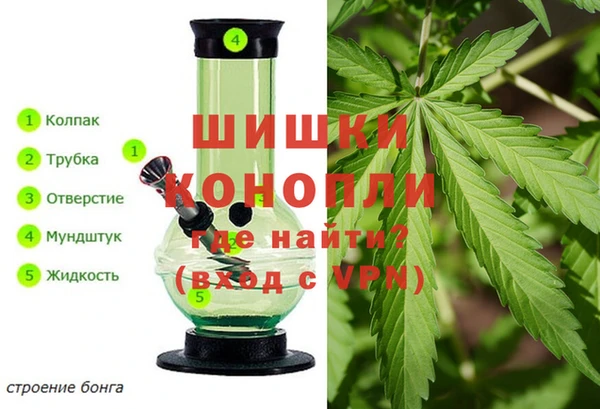 амфетамин Белокуриха
