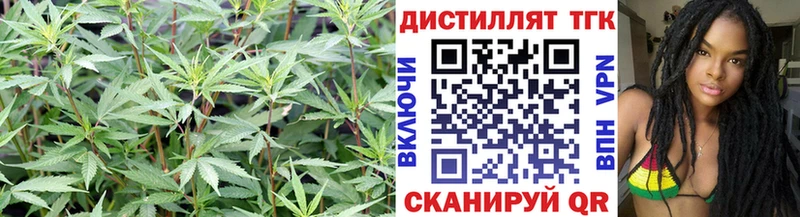 МЕГА вход купить сайты Сковородино ТГК концентрат